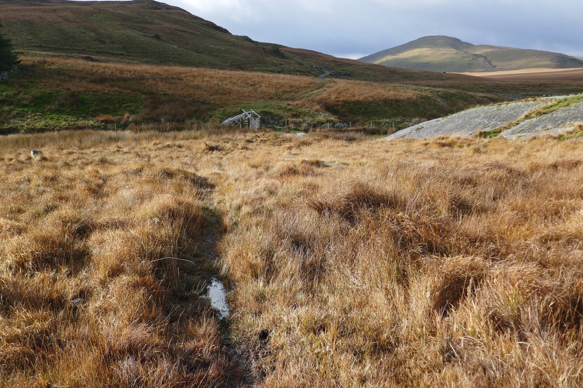 RachelSeabrook.net | Wild Walking | Cwm Hengwm | pic07
